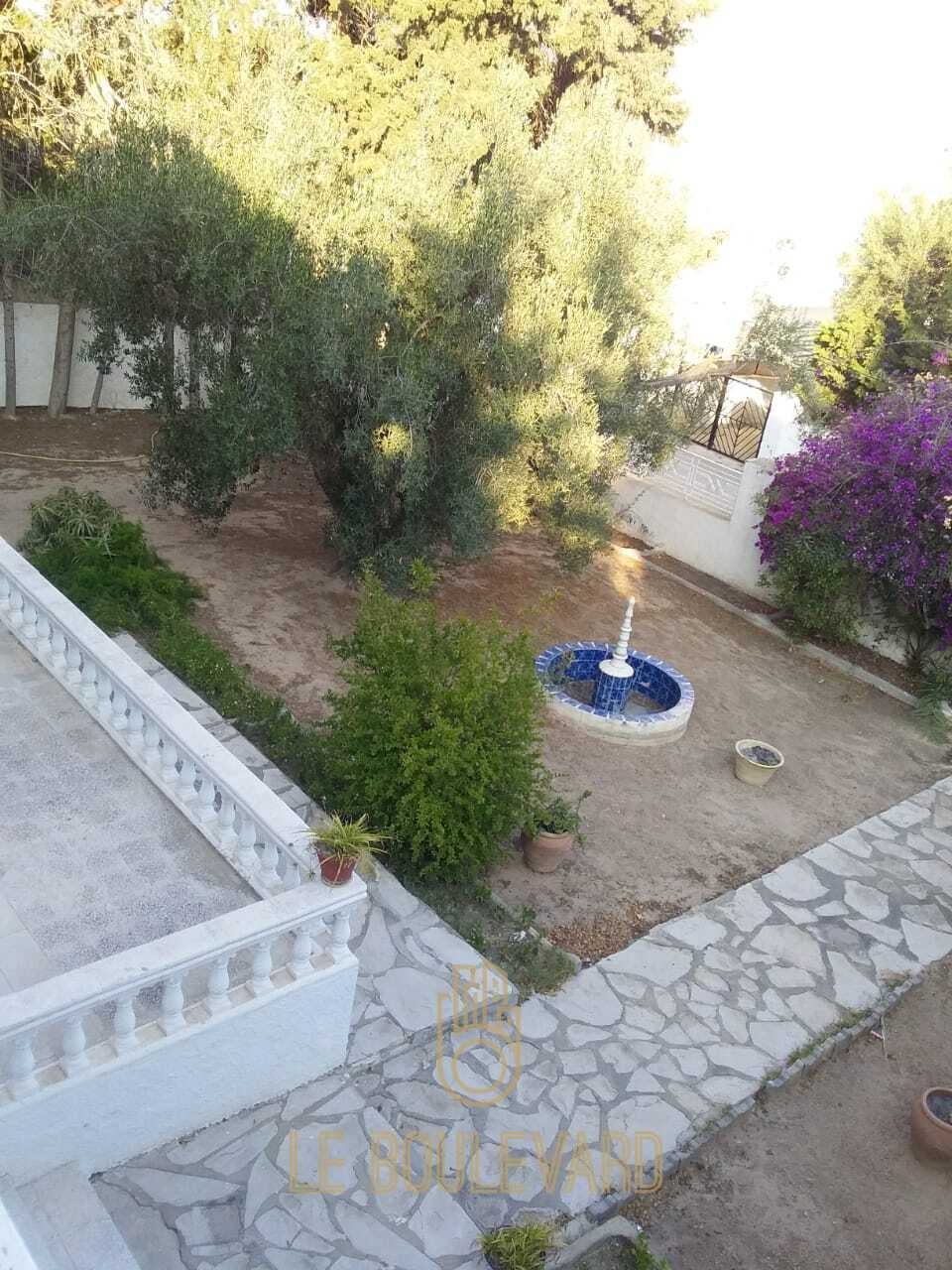 latest property