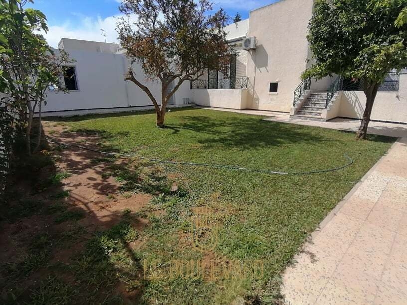 latest property