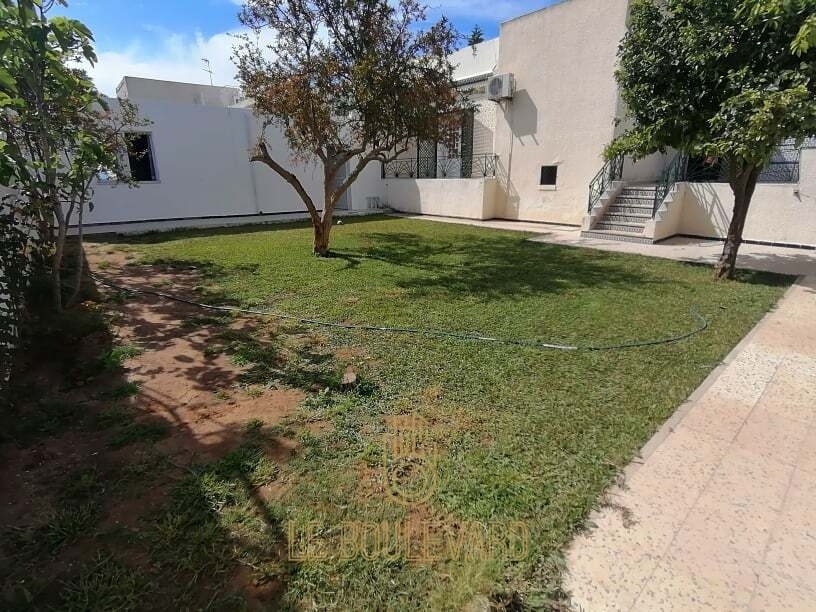 latest property
