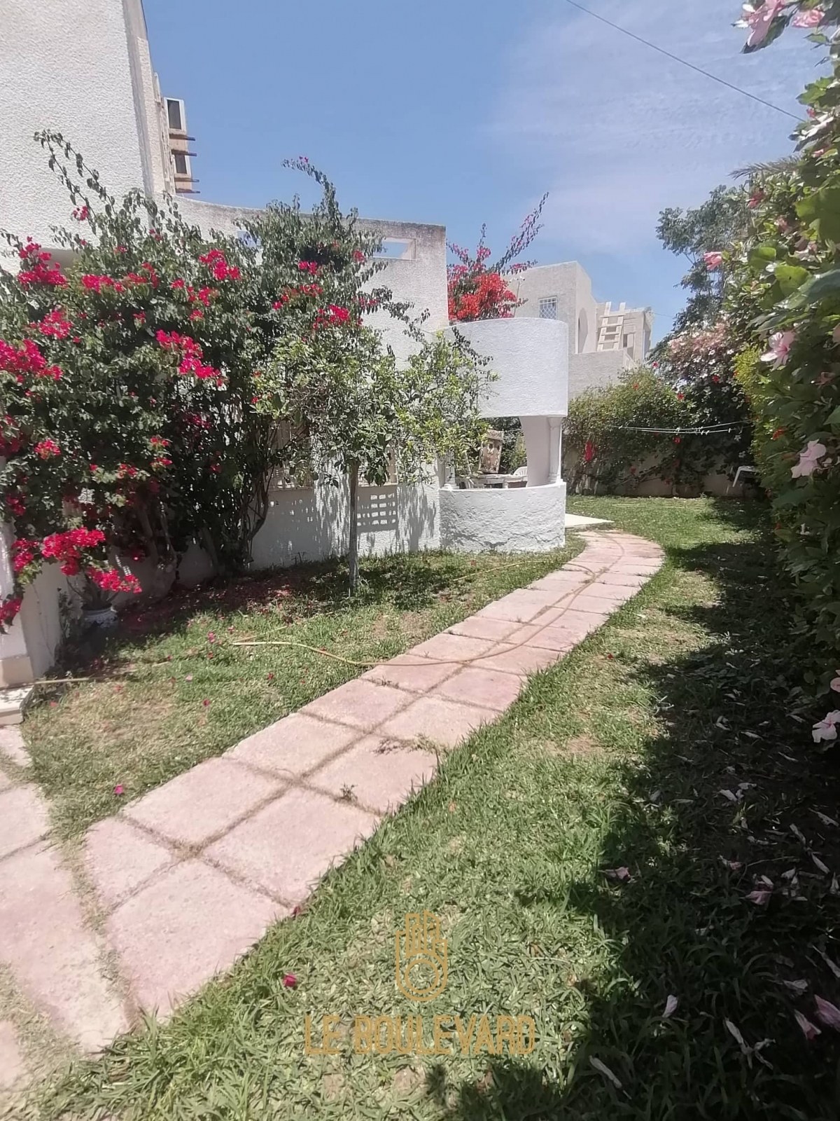 latest property