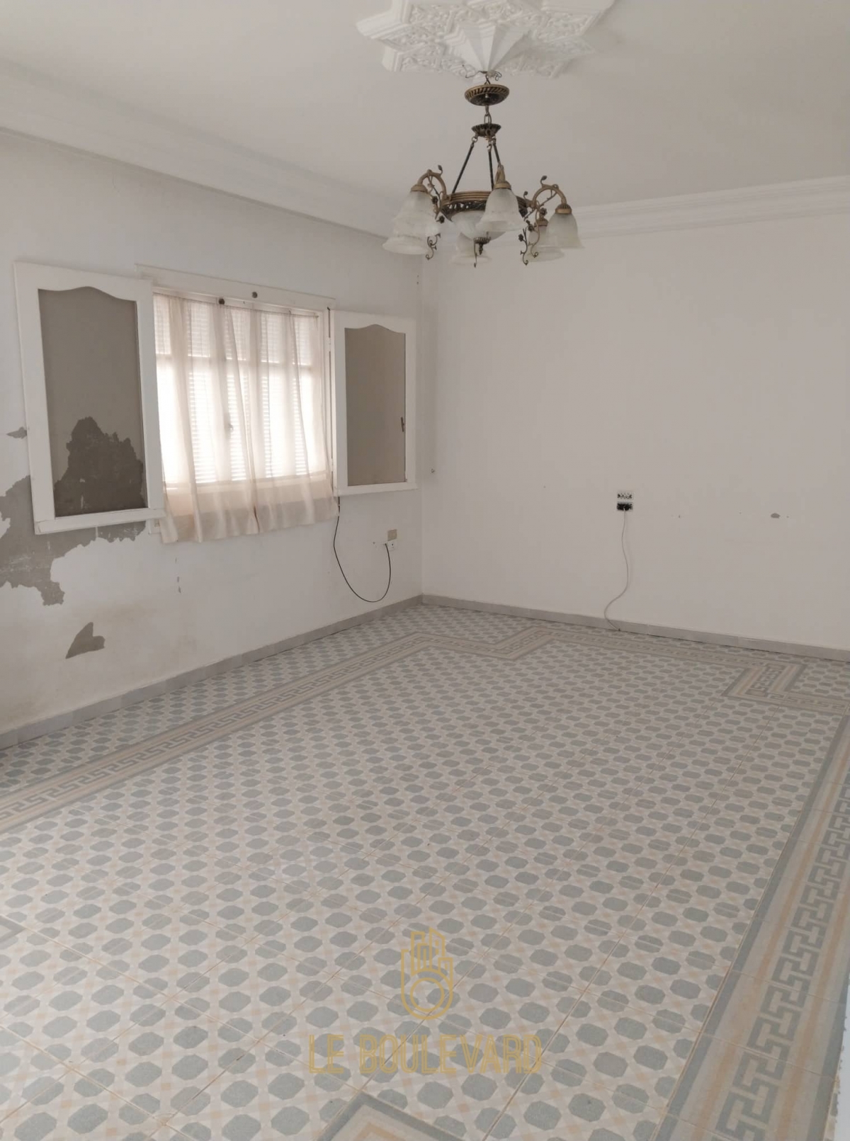 latest property