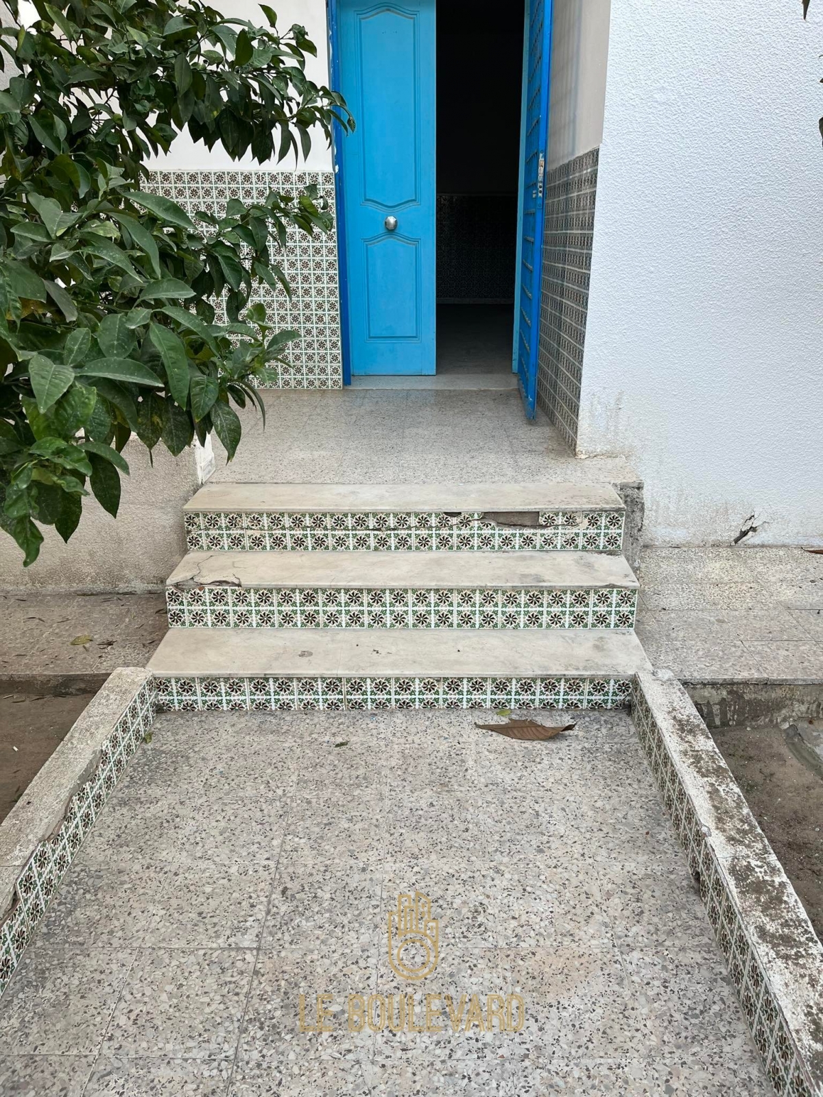 latest property