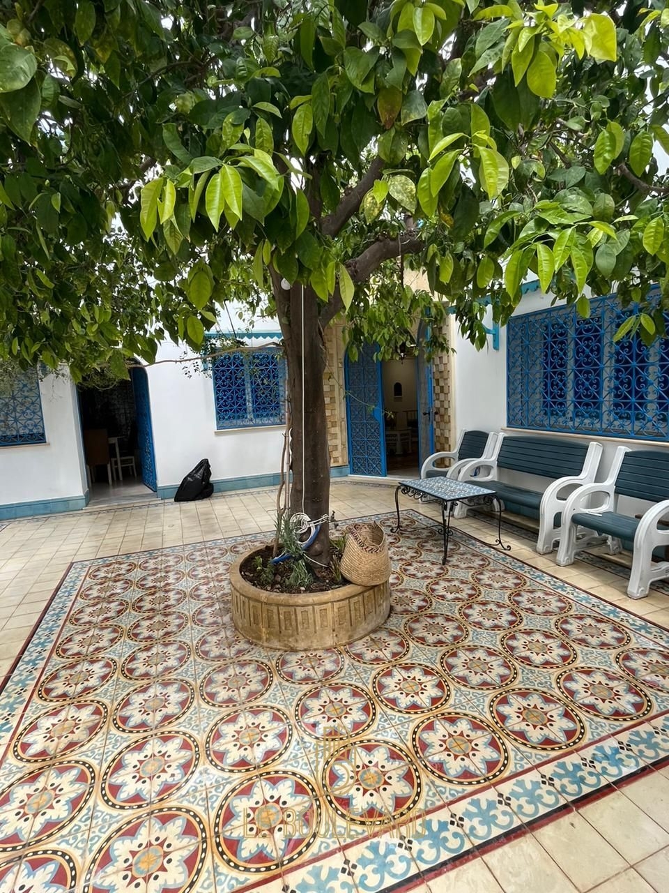 latest property