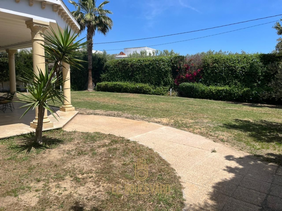 latest property