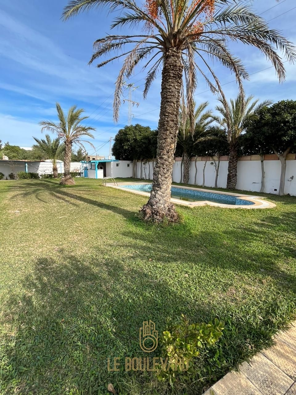 latest property