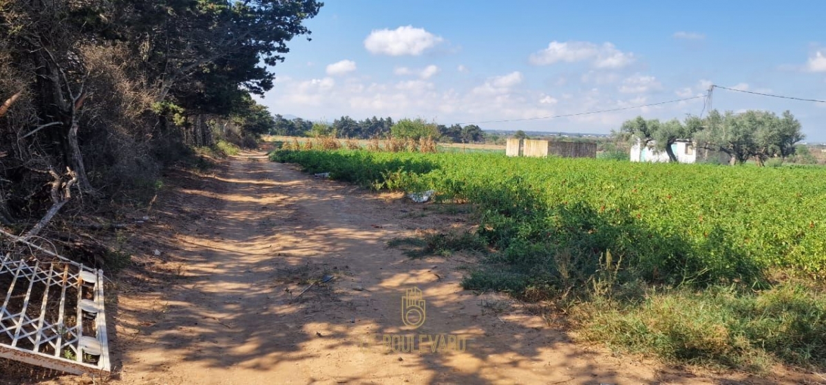 latest property