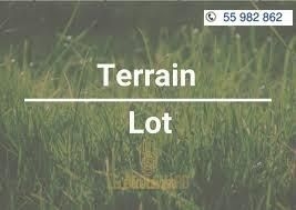 latest property