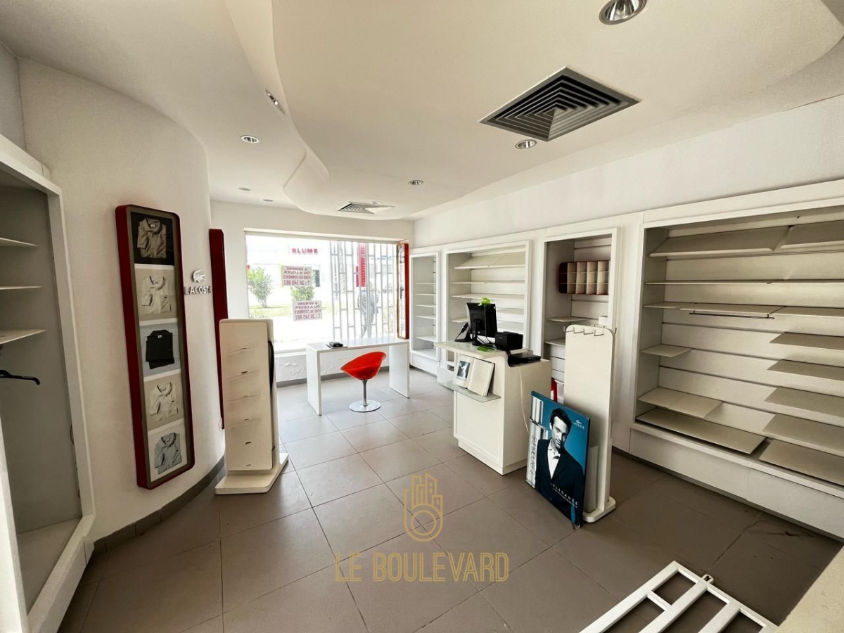 latest property