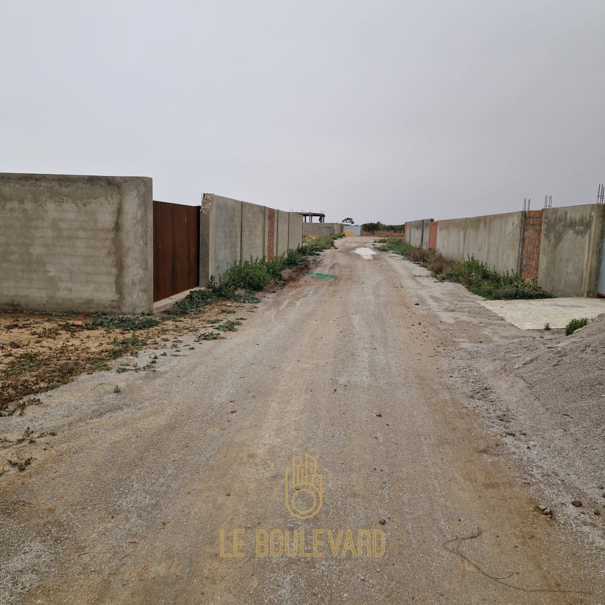 latest property