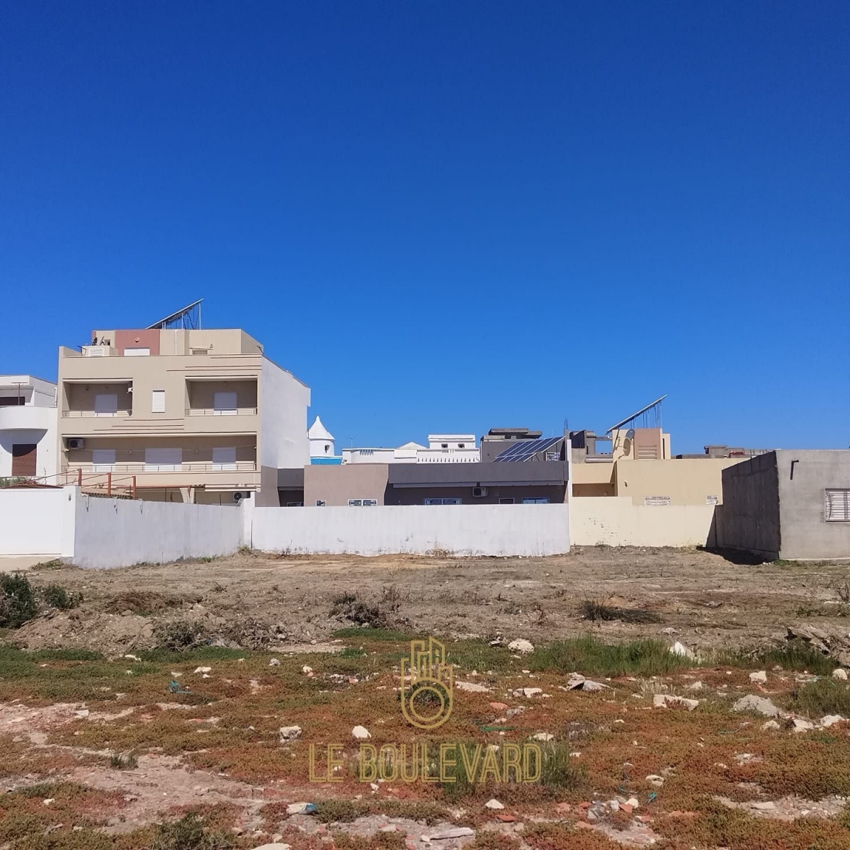 latest property