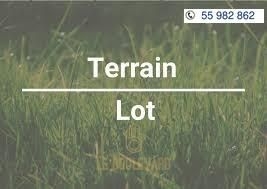 latest property