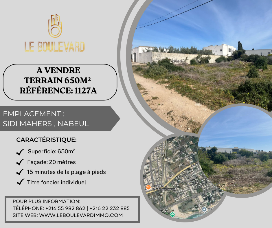 latest property